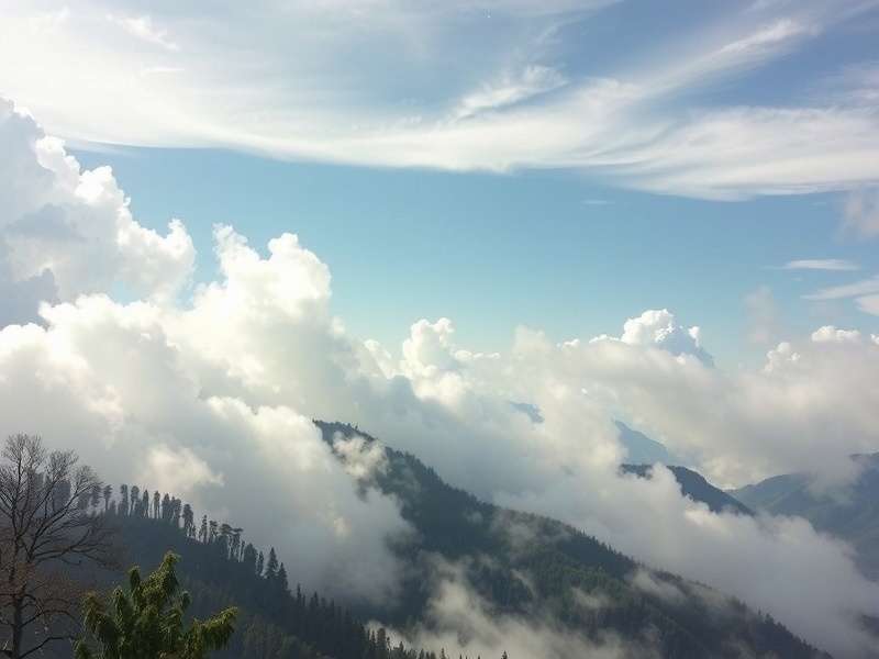 欧冠决赛数据分析报告